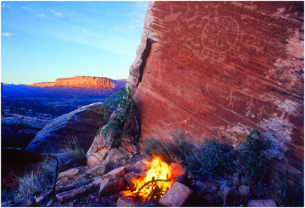 Overpopulation: The Global Population Speaks Out